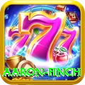 aaron finch Turbo Pro v5.6.8