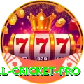 all cricket Champion - Free Download