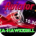 antigua hawksbill Premium Plus v4.7.8