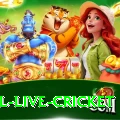 bpl live cricket Apps (Tools & Injectors) VIP v1.3.3