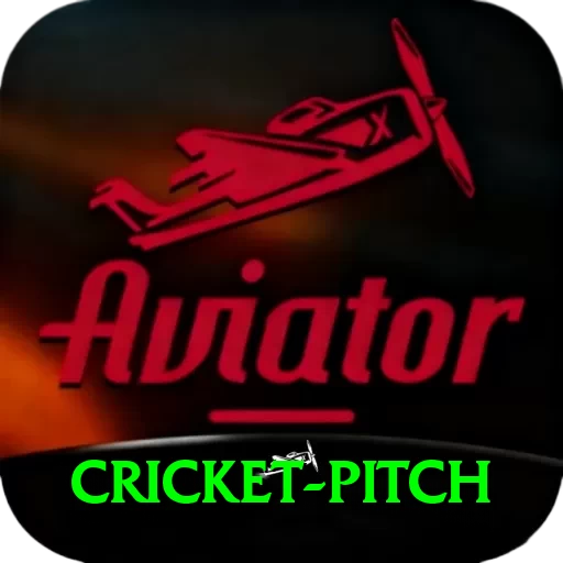 cricket pitch Max v5.5.3 - 2