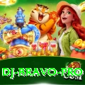 dj bravo Live Ultimate