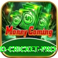 england cricket Premium PK v2.8.2