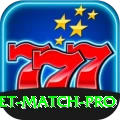 india cricket match Legend v1.2.7