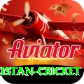 india pakistan cricket Deluxe Pro v5.8.8