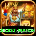 india pakistan cricket match Pro v2.2.2