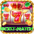 international cricket match Premium Edition v4.6.0