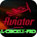 international cricket Game Mega v2.5.4