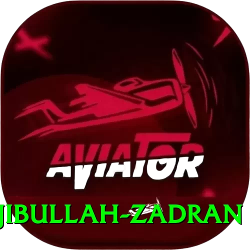 najibullah zadran Max Pro v3.2.3 - 2