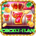 new zealand cricket team Plus v1.3.0