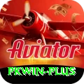 pkwin Deluxe Edition v3.4.9