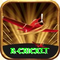 r cricket Premium Plus v3.2.4