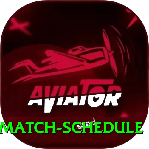 t20 match schedule Max v5.1.8 - 2