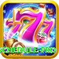 t20 match schedule Master Latest v3.1.8