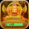 tiger888 Plus Edition v3.0.4