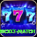 to day cricket match Elite Pro v3.3.7