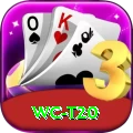 wc t20 Premium Edition v2.3.0