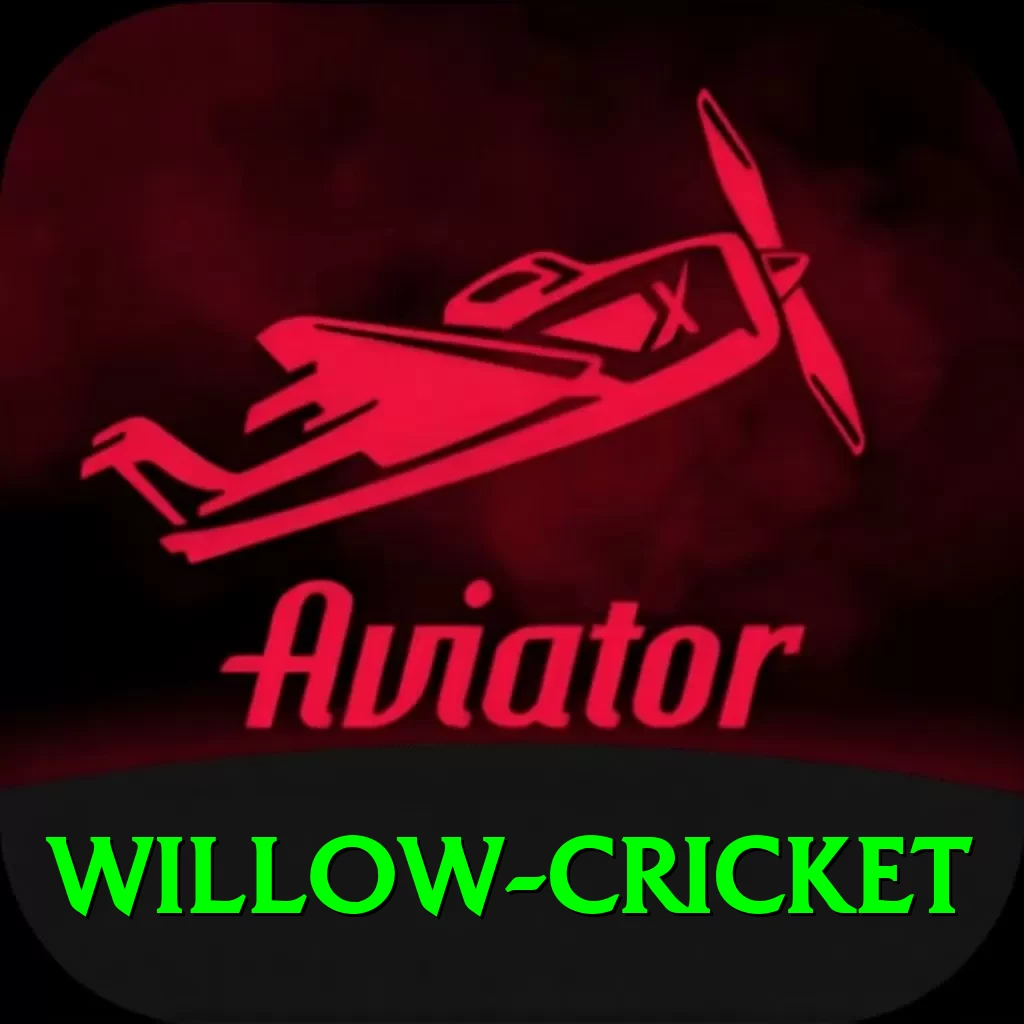 willow cricket VIP Edition v5.5.2 - 2
