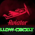 willow cricket VIP Edition v5.5.2